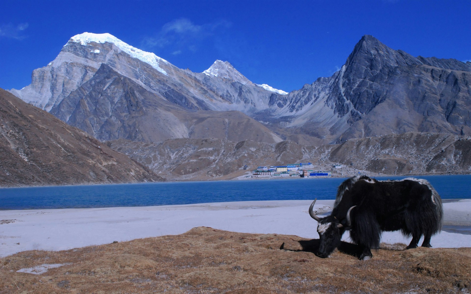 Gokyo Ri Trek – 13 days