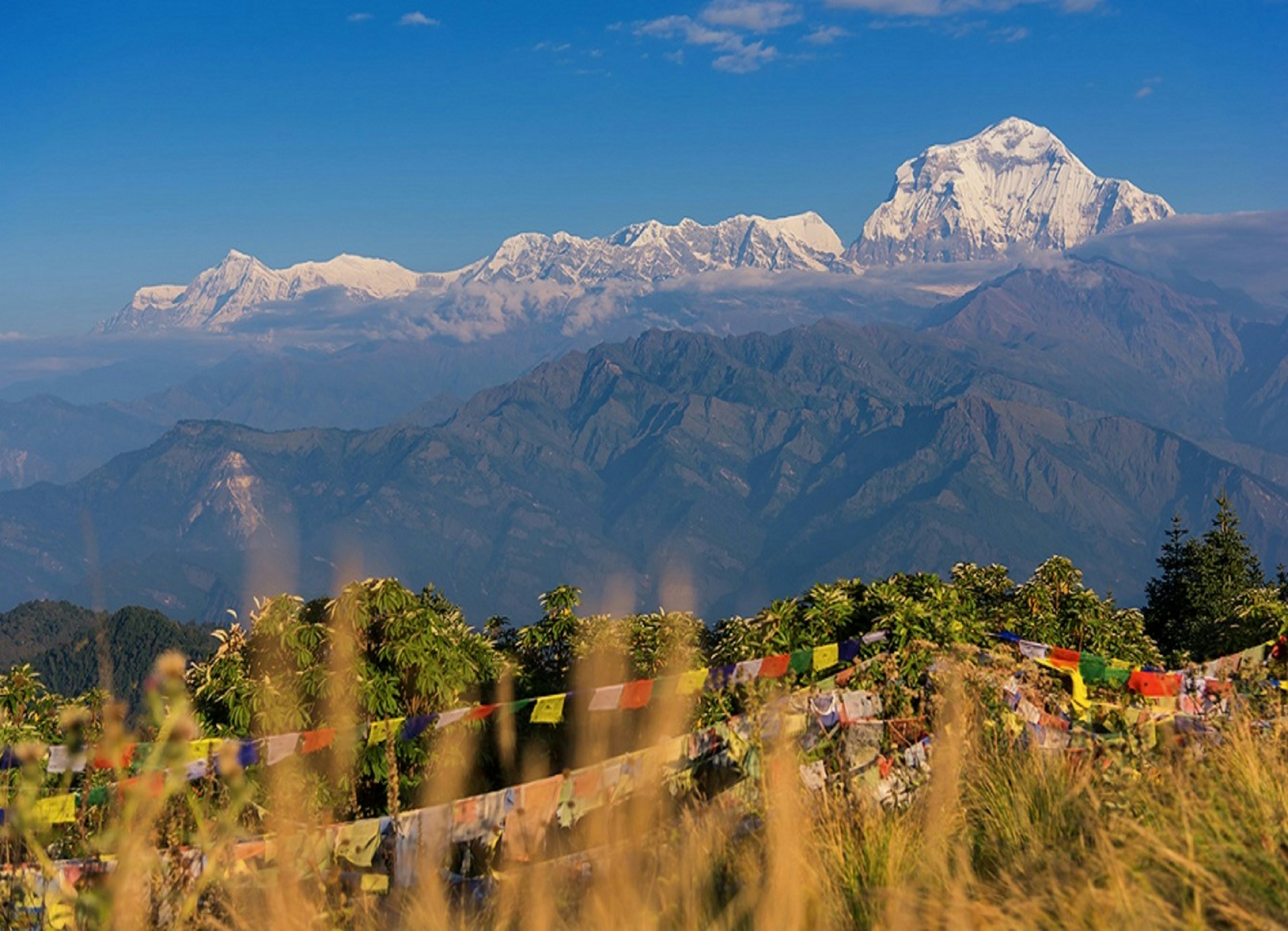 Ghandruk Trek: A Journey Through the Heart of the Himalayas